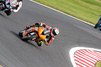 Advanced Group Orange Bikes